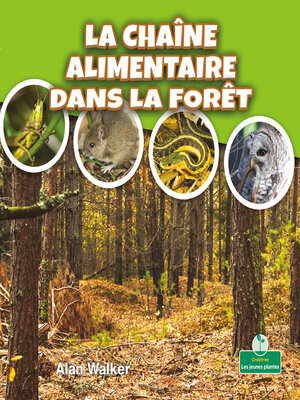 cover image of La chaîne alimentaire dans la forêt (Food Chain in a Forest)